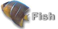 Back to Fish & Aquariums index